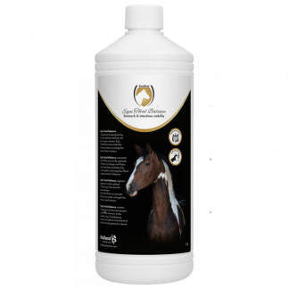 Equi Total Balance