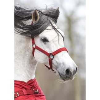 MASTER halter metallic red