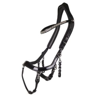 PresTeq Headstall FaySport Shine