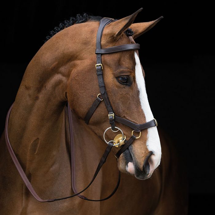 Rambo Micklem Multi Bridle