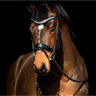 Mrs. Ros Italian Leather Bridle