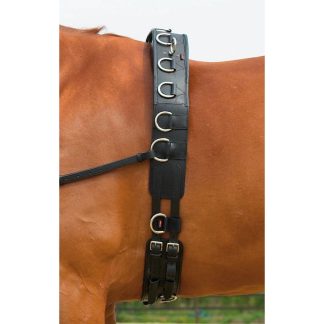 Busse Lunging Girth Professional Leather