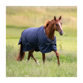 Busse Outdoor rug Flexible Pro 50