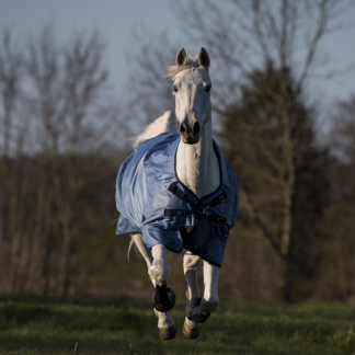 Busse Outdoor rug Windchill 50
