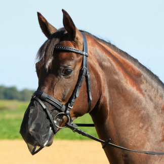 Busse Nosenet Fly Protector