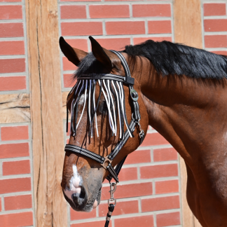 Busse Fly fringe Visby II