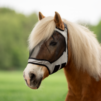 Busse Fly Mask Fly Guard Free