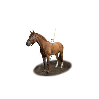 Equine Legcooler Base Plus