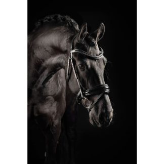 Mrs. Ros Deluxe Glitter Bridle