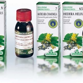 Hydroalcoholic Solution 74 Willow 50 ml