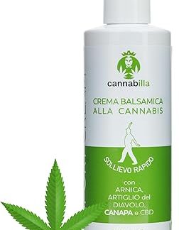 CBD Sport Cream – Sports Balsamic Cream with Hemp Oil and CBD – Immediate Relief for Muscles and Joints, with Devil's Claw, Arnica and Menthol – 200 ml