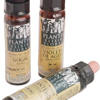 Plantis 27 Rock Water 10 ml Artesania