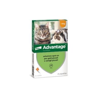 Advantage Spot Fino A 4 Kg antiparassitario per gatti e conigli