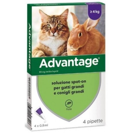 Advantage Spot on Antiparassitario Per Gatti Superiori A 4 Kg
