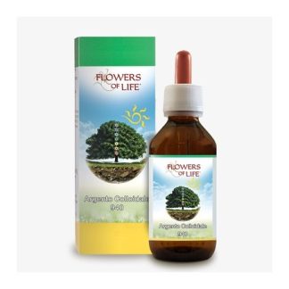 Atena Argento Colloidale 40ppm antibatterico naturale 100ml
