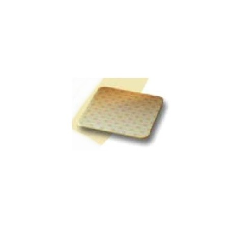 Coloplast Biatain Schiuma Adulti 15x15 Cm 5 Pezzi