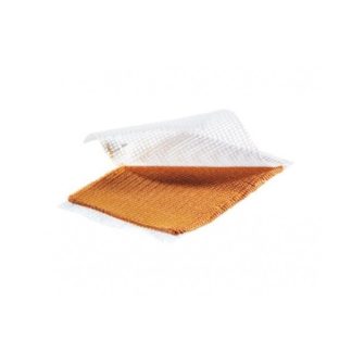 Pharmaidea Iodosorb Pasta antisettica adsorbente 5 Buste 5g