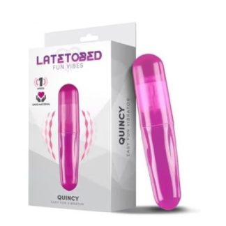 La Bala Vibratore Easy Fun Purple Quincy 1 pezzo