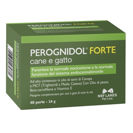 Nbf Lanes Perognidol Forte 40 Perle