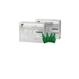 Q Vet Pyo Spot Cane 20-40kg per piodermite e dermatite