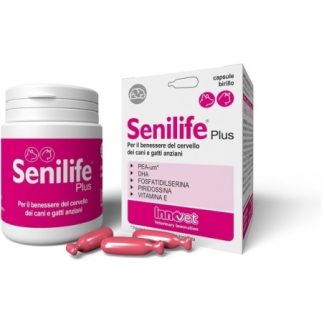 Innovet italia Senilife plus 60 capsule per la memoria del gatto