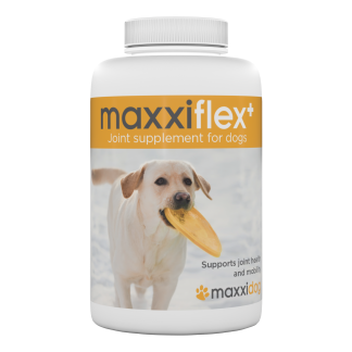 Maxxiflex+ joint supplement for dogs tablets