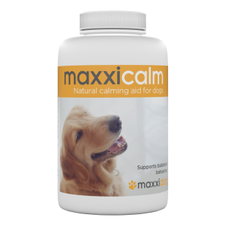 Maxxicalm calming aid for dogs