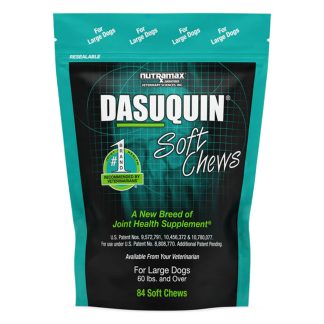 Nutramax Dasuquin Joint Health Supplement for Large Dogs