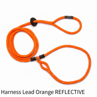Harness Lead Orange Reflective
