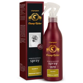 DermaPharm CHAMP-RICHER SPRAY ZWIĘKSZAJĄCY OBJĘTOŚĆ 250 ML
