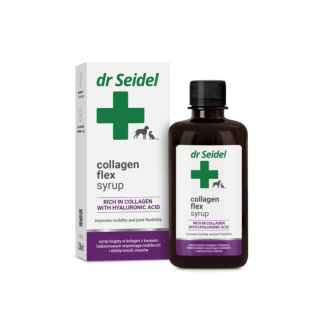 Dermapharm dr Seidel COLLAGEN FLEX SYRUP 250 ML syrop z kolagenem i kwasem hialuronowym na stawy