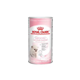 Royal Canin BABYCAT MILK 0,3 KG mleko w proszku dla kociąt