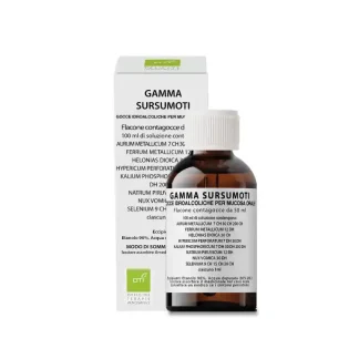 GAMMA SURSUMOTI