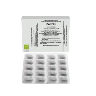PANFLU