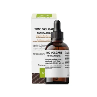 TIMO VOLGARE (THYMUS VULGARIS) foglie