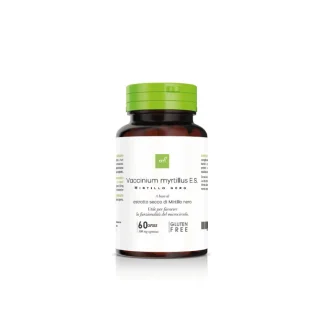 VACCINIUM MYRTILLUS (MIRTILLO NERO) bacche