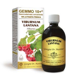 Gemmo 10+ Viburno gemmoderivato Viburnum lantana 500ml analcolico dr.Giorgini