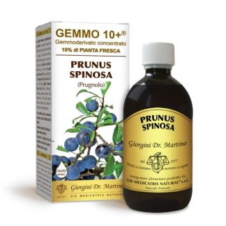 Gemmo 10+ Prugnolo (Prunus spinosa) gemmoderivato 500ml dr.Giorgini