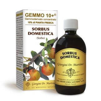 Gemmo 10+ Sorbo Domestico gemmoderivato di Sorbus Domestica 500ml – dr.Giorgini