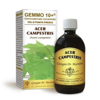 Gemmo 10+ Acero campestre (Acer campestris) gemmoderivato analcolico 500ml – dr.Giorgini