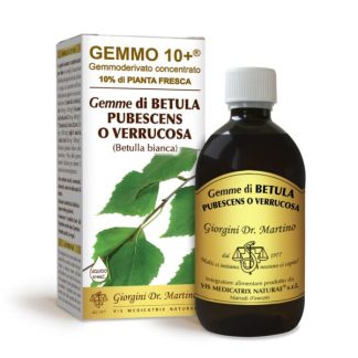 Gemmo 10+ Betulla bianca gemme (Betula alba, sinonimi Betula pubescens, Betula verrucosa o Betula pendula) gemmoderivato analcolico 500ml