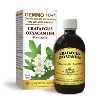 Gemmo 10+ Biancospino (Crataegus oxyacantha) gemmoderivato analcolico 500ml dr.Giorgini