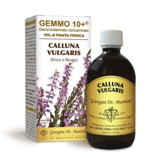 Gemmo 10+ Erica o Brugo (Calluna vulgaris) gemmoderivato analcolico 500ml dr.Giorgini