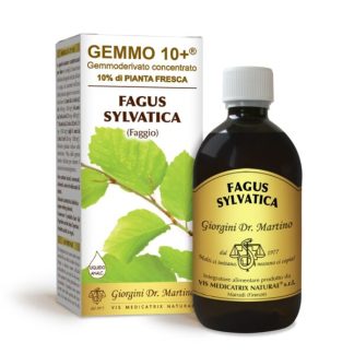 Gemmo 10+ Faggio (Fagus sylvatica) gemmoderivato analcolico 500ml dr.Giorgini