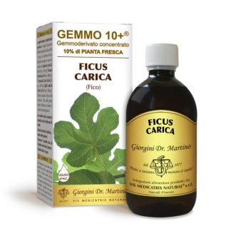 Gemmo 10+ Fico (Ficus carica) gemmoderivato analcolico 500ml dr.Giorgini