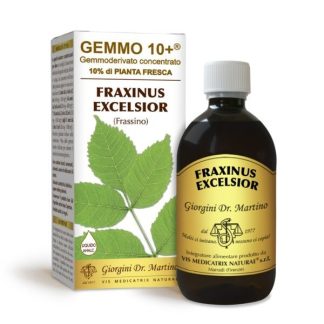 Gemmo 10+ Frassino (Fraxinus excelsior) gemmoderivato 500ml dr.Giorgini