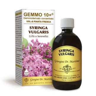 Gemmo 10+ Lillà o serenella (Syringa vulgaris) gemmoderivato 500ml – dr.Giorgini