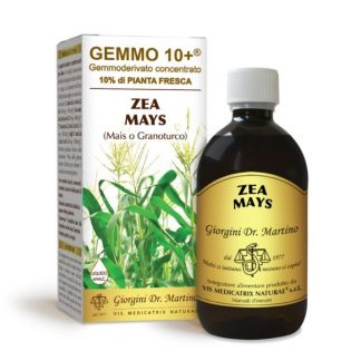Gemmo 10+ mais o granoturco (Zea mays var. saccharata) gemmoderivato 500ml dr.Giorgini