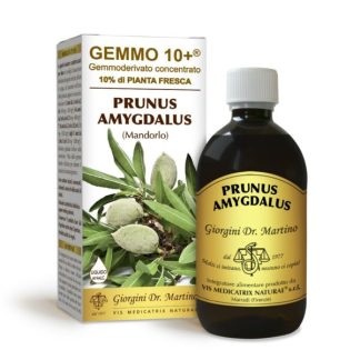 Gemmo 10+ Mandorlo (Prunus amygdalus, sinonimo Prunus dulcis) gemmoderivato 500ml dr.Giorgini