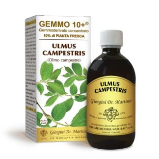 Gemmo 10+ Olmo campestre (Ulmus campestris) gemmoderivato 500ml dr.Giorgini
